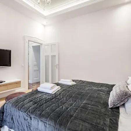 公寓 Delux Downtown In Jewish Quarter 布达佩斯